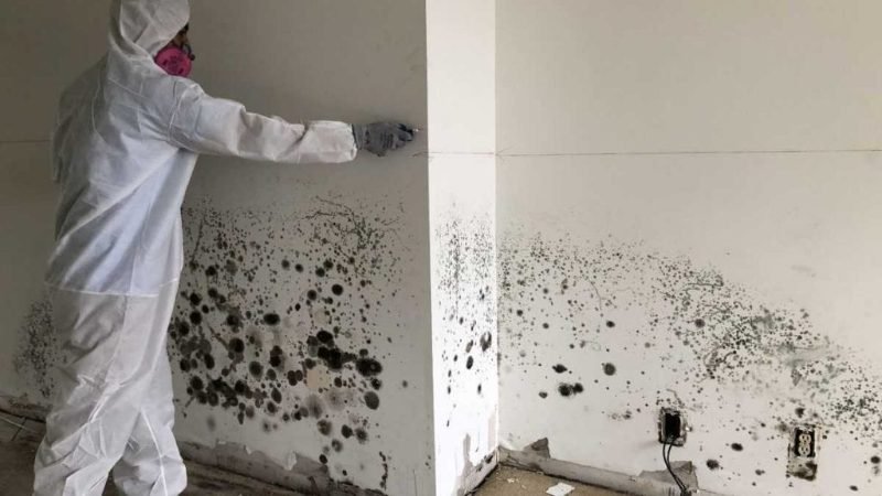 Basement Waterproofing in Charlotte