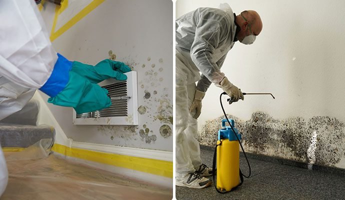 home remediation project in Charlotte