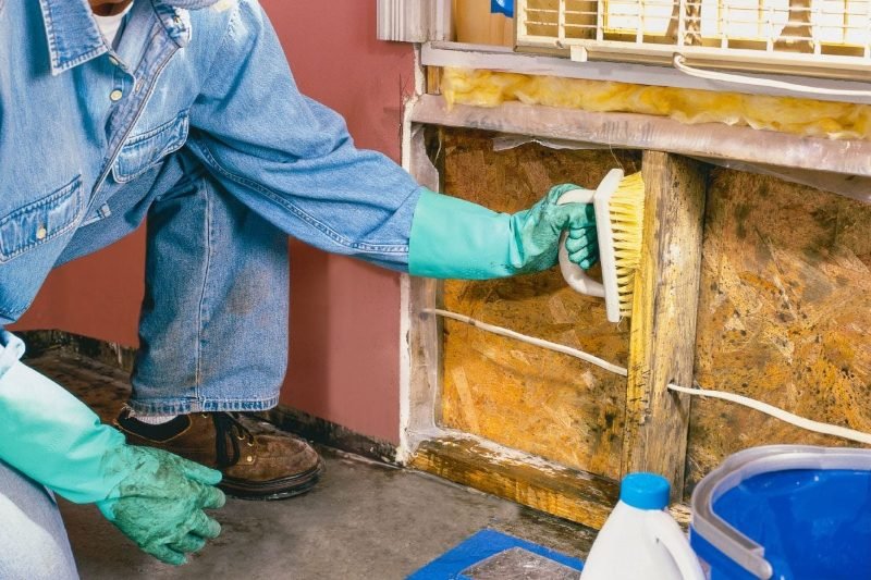 home remediation project in Charlotte