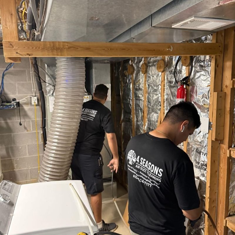 home remediation project in Charlotte