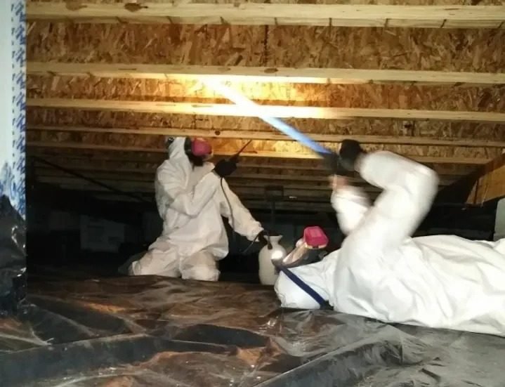 home remediation project in Charlotte