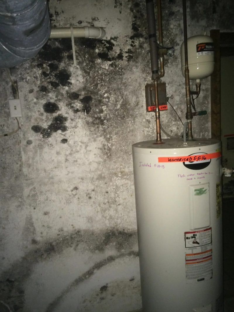 home remediation project in Charlotte